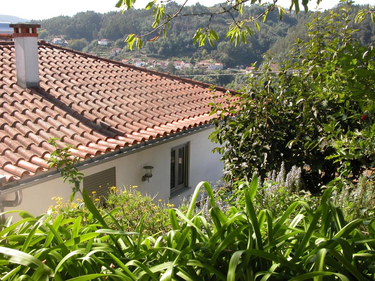 Villa Casa Do Outeiro à Penacova Extérieur photo